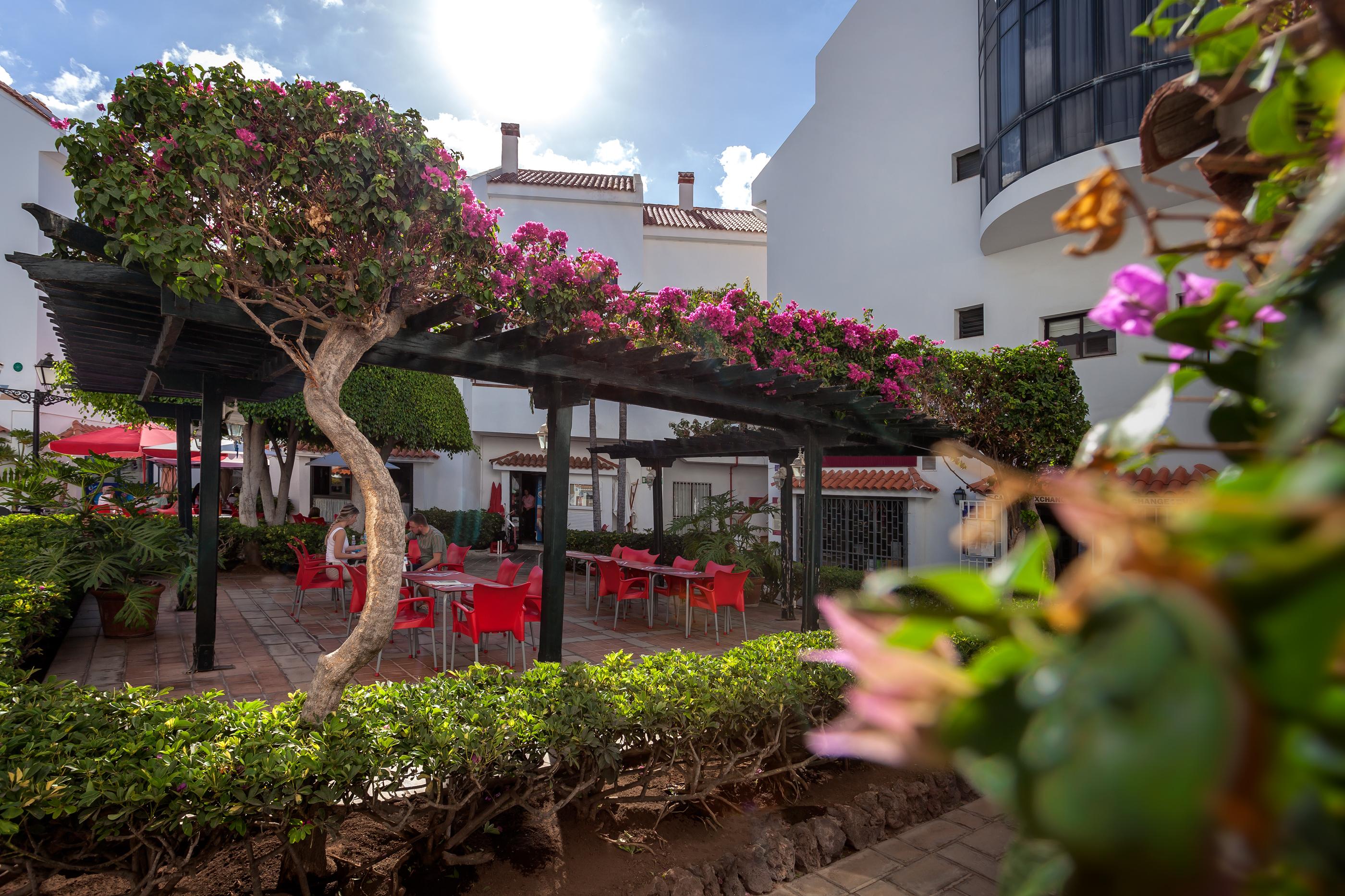 Apartamentos Hg Cristian Sur Los Cristianos  Εξωτερικό φωτογραφία
